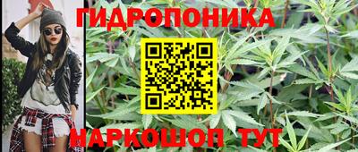 стафф Жуковский