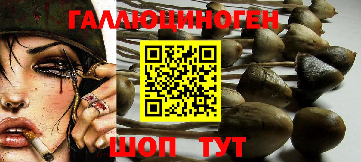 Псилоцибиновые грибы Psilocybine cubensis  Галлюциногенные грибы MAGIC MUSHROOMS  Вход с VPN  Мценск 