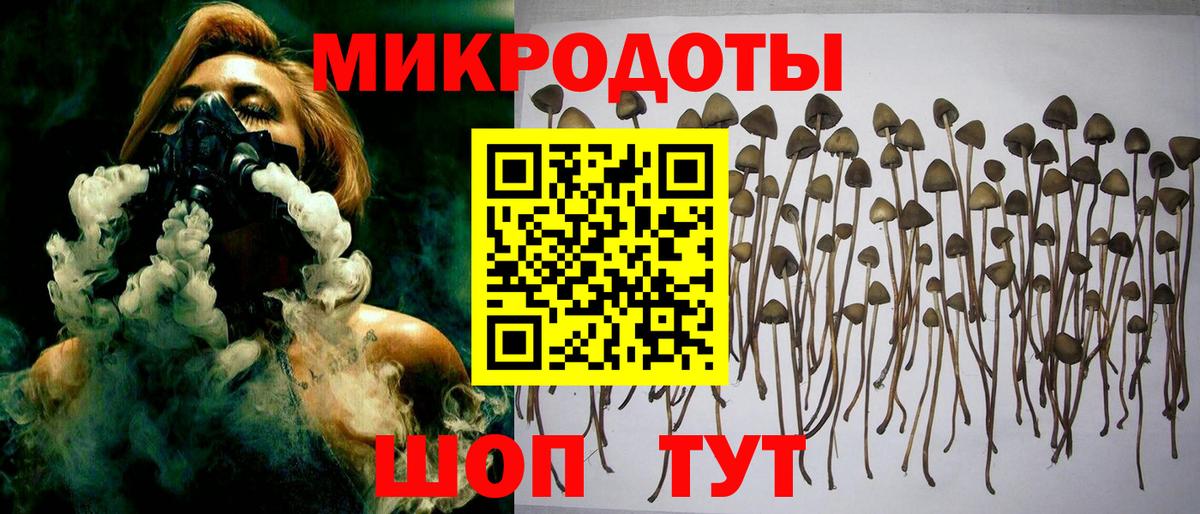 Псилоцибиновые грибы MAGIC MUSHROOMS Мценск